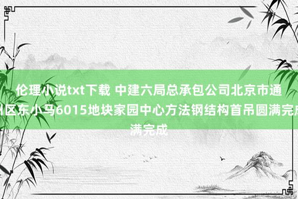 伦理小说txt下载 中建六局总承包公司北京市通州区东小马6015地块家园中心方法钢结构首吊圆满完成