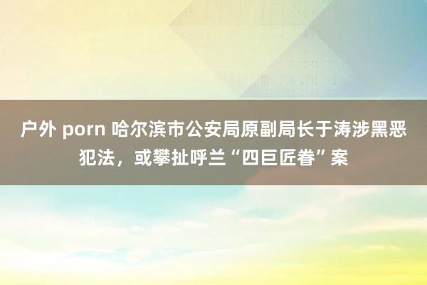 户外 porn 哈尔滨市公安局原副局长于涛涉黑恶犯法，或攀扯呼兰“四巨匠眷”案