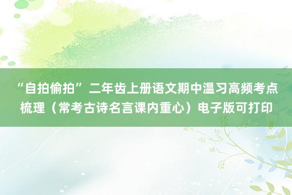 “自拍偷拍” 二年齿上册语文期中温习高频考点梳理（常考古诗名言课内重心）电子版可打印