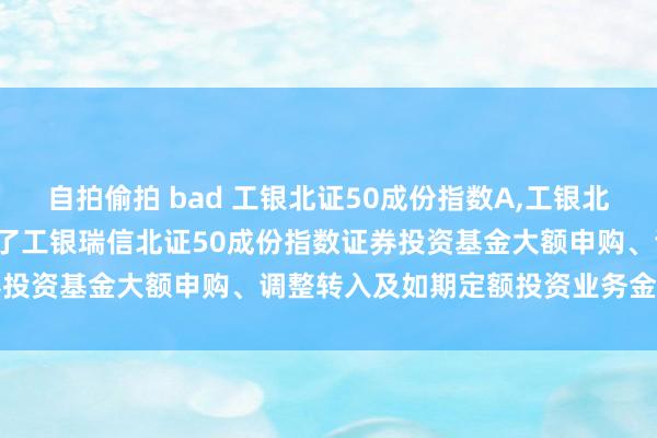 自拍偷拍 bad 工银北证50成份指数A，工银北证50成份指数C: 对于罢了工银瑞信北证50成份指数证券投资基金大额申购、调整转入及如期定额投资业务金额的公告