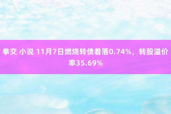 拳交 小说 11月7日燃烧转债着落0.74%，转股溢价率35.69%